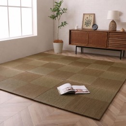 Japanese Igusa Tatami Floor Mat Simple Noa