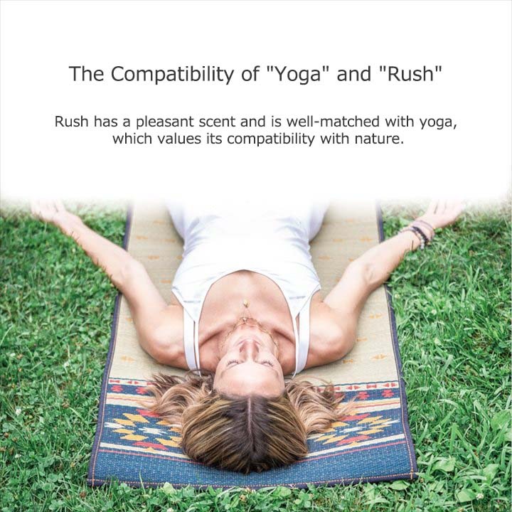 Harmony of yoga and igusa Harmony of yoga and igusa