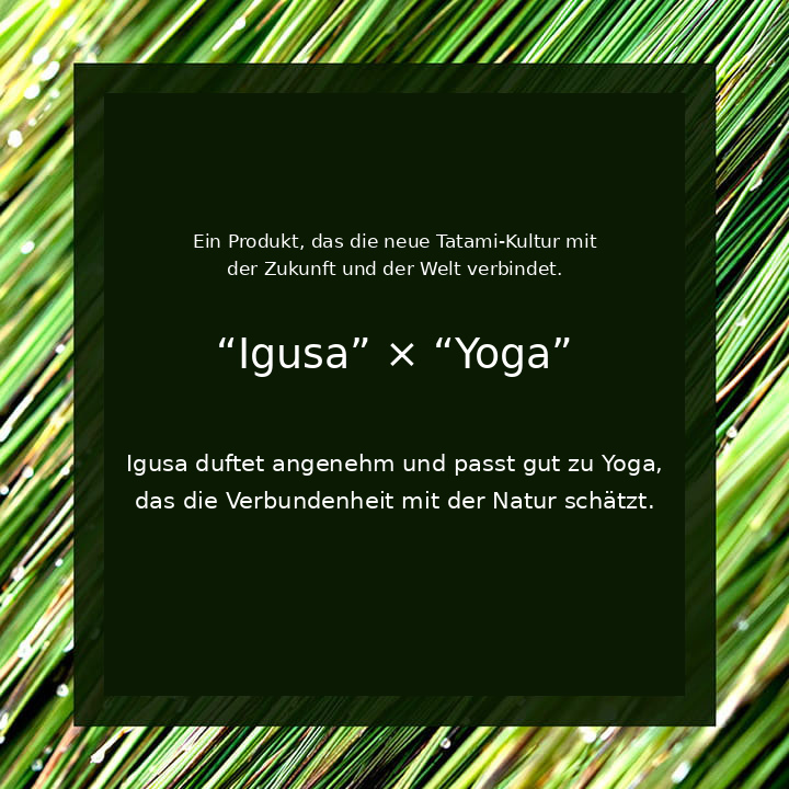 Igusa und Yoga