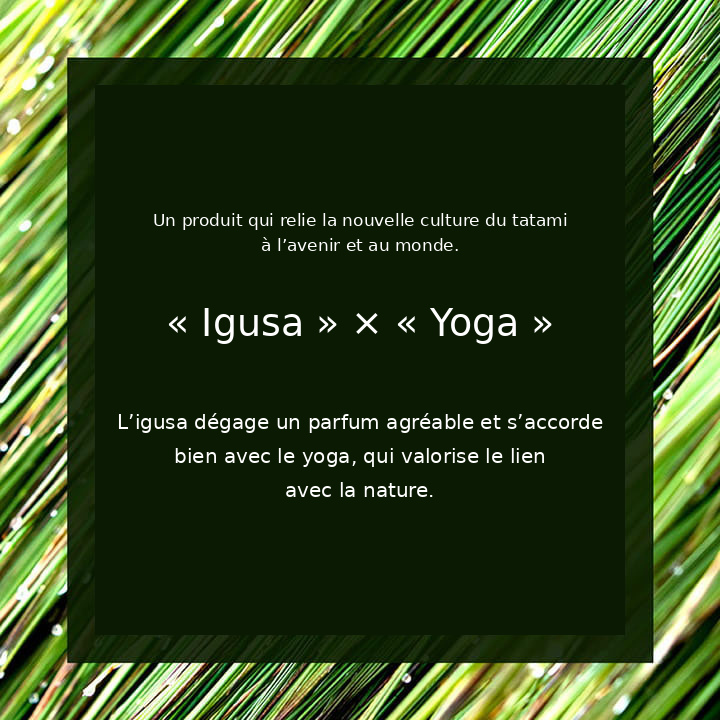 Igusa et yoga