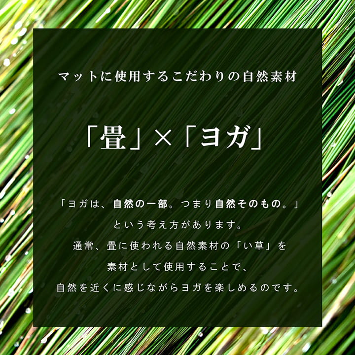 い草とヨガ