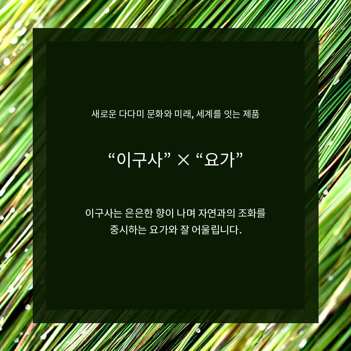 이구사와 요가