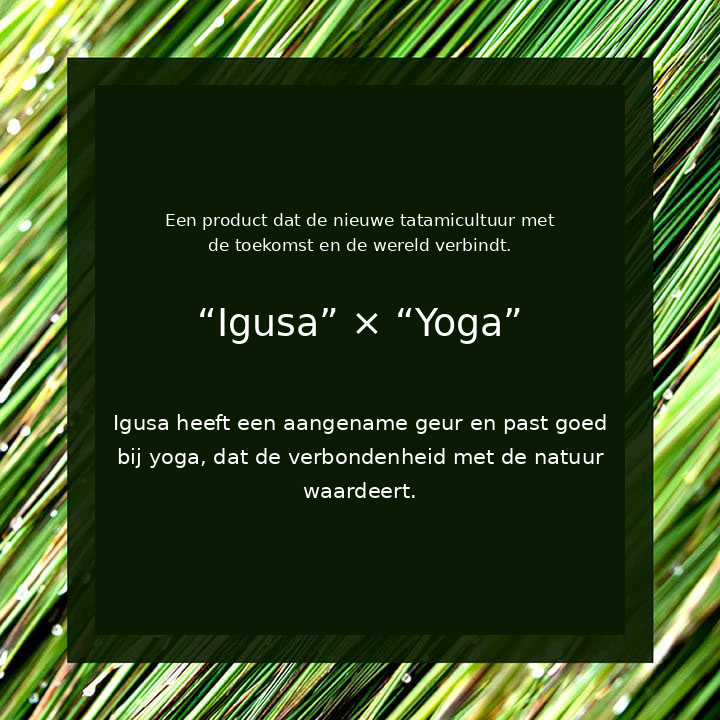 Igusa en yoga