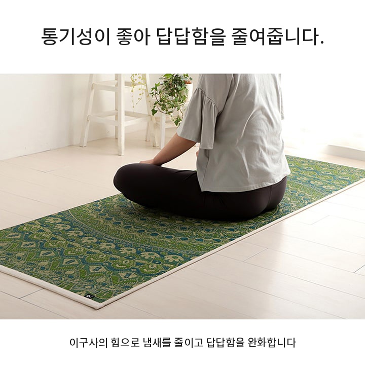 이구사의 통기성