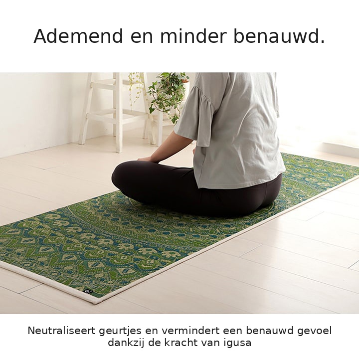 Ademend vermogen van igusa