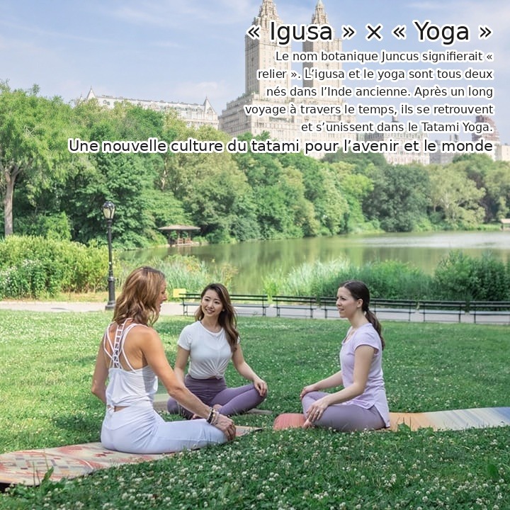 Le Tatami Yoga relie l’igusa et le yoga Le Tatami Yoga relie l’igusa et le yoga