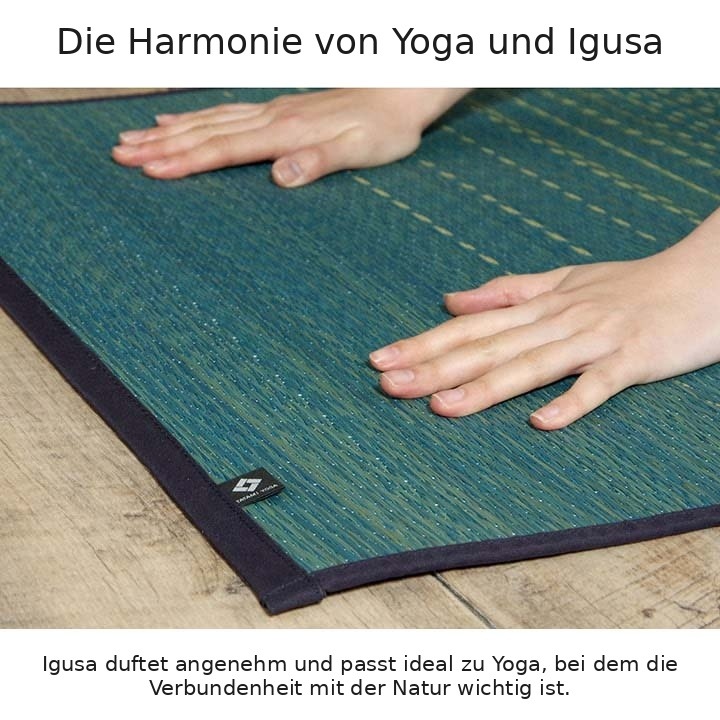 Harmonie von Yoga und Igusa Harmonie von Yoga und Igusa
