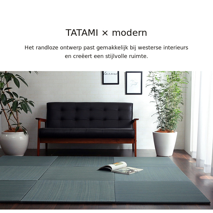 Moderne kamer met Bijou-tatamimatten Moderne kamer met Bijou-tatamimatten