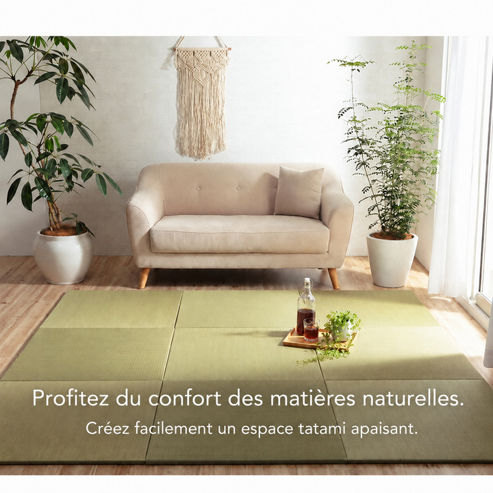 Tatamis en igusa naturel dans un salon Tatamis en igusa naturel dans un salon