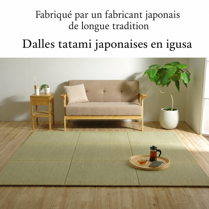 Neral dalle tatami japonaise en igusa aperçu