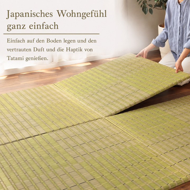 Seimei einfacher japanischer Tatami-Bereich Seimei einfacher japanischer Tatami-Bereich