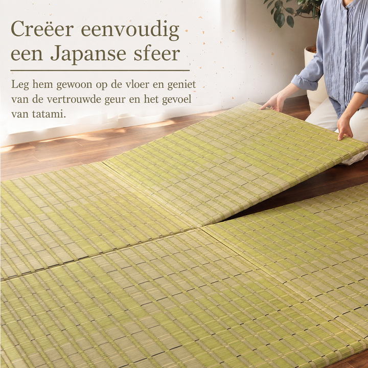 Seimei eenvoudige Japanse tatamiruimte Seimei eenvoudige Japanse tatamiruimte