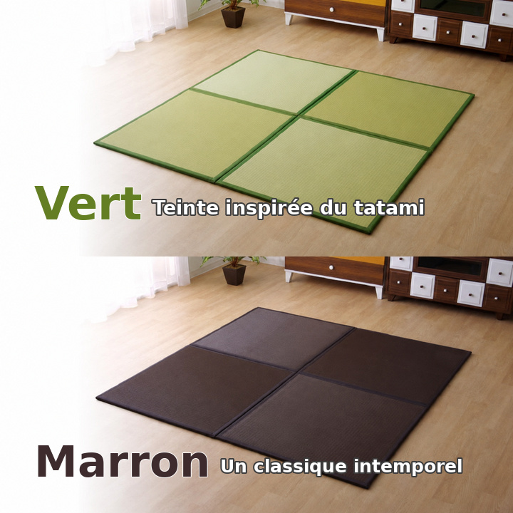 Squash vert et marron en situation Squash vert et marron en situation